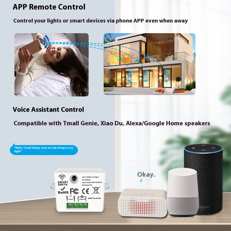 The Tuya Smart Switch-Off Devi - đánh giá và giá Tuya Wifi Socket