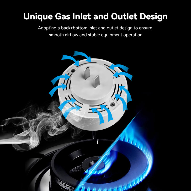 Meian Zigbee Gas Detector Tuya - đánh giá và giá Smart Home Network