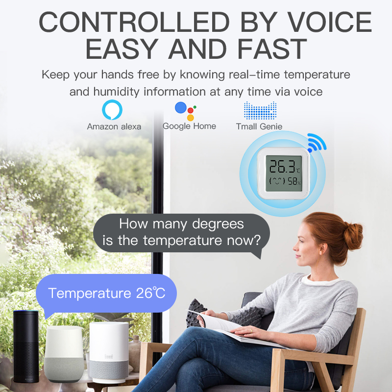 Bluetooth Temperature Humidity - đánh giá và giá Smart Home Voice Assistant