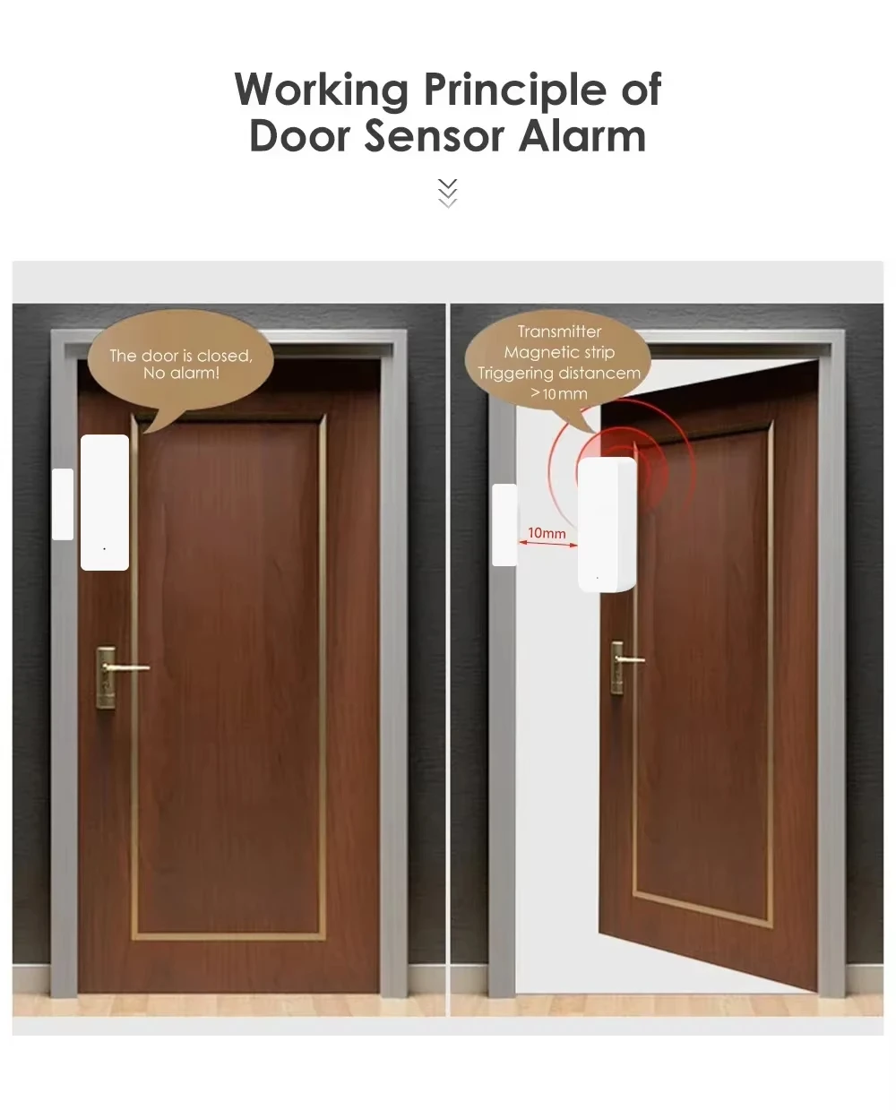 Tuya Zigbee/WiFi Magnetic Door - đánh giá và giá Smart Home Gateway